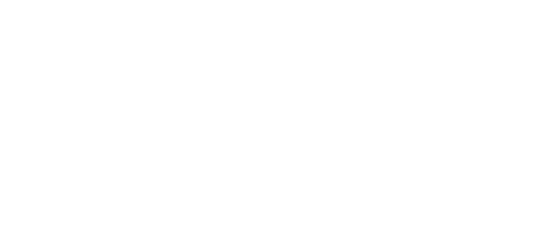 APPI Kogen logo